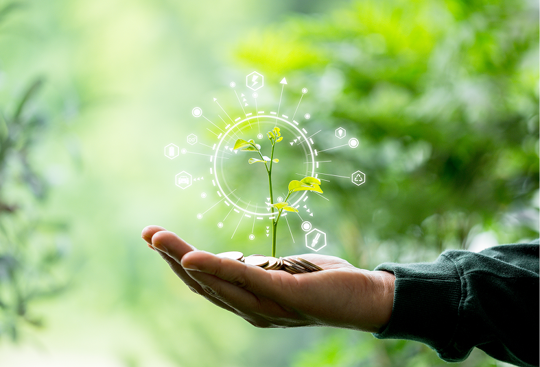Hand holding a plant with digital symbols.